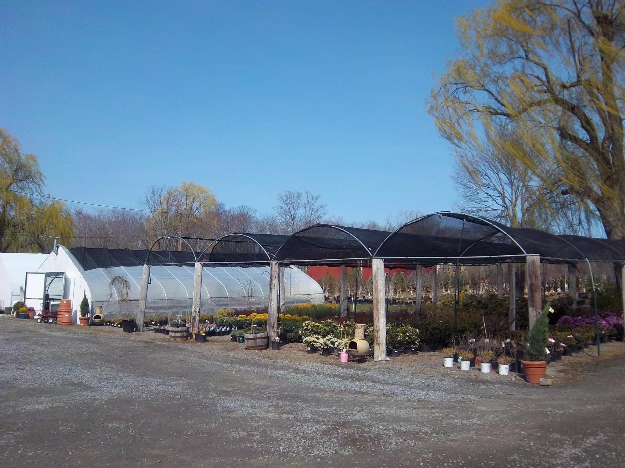 Red Barn Farm nursery grounds overview